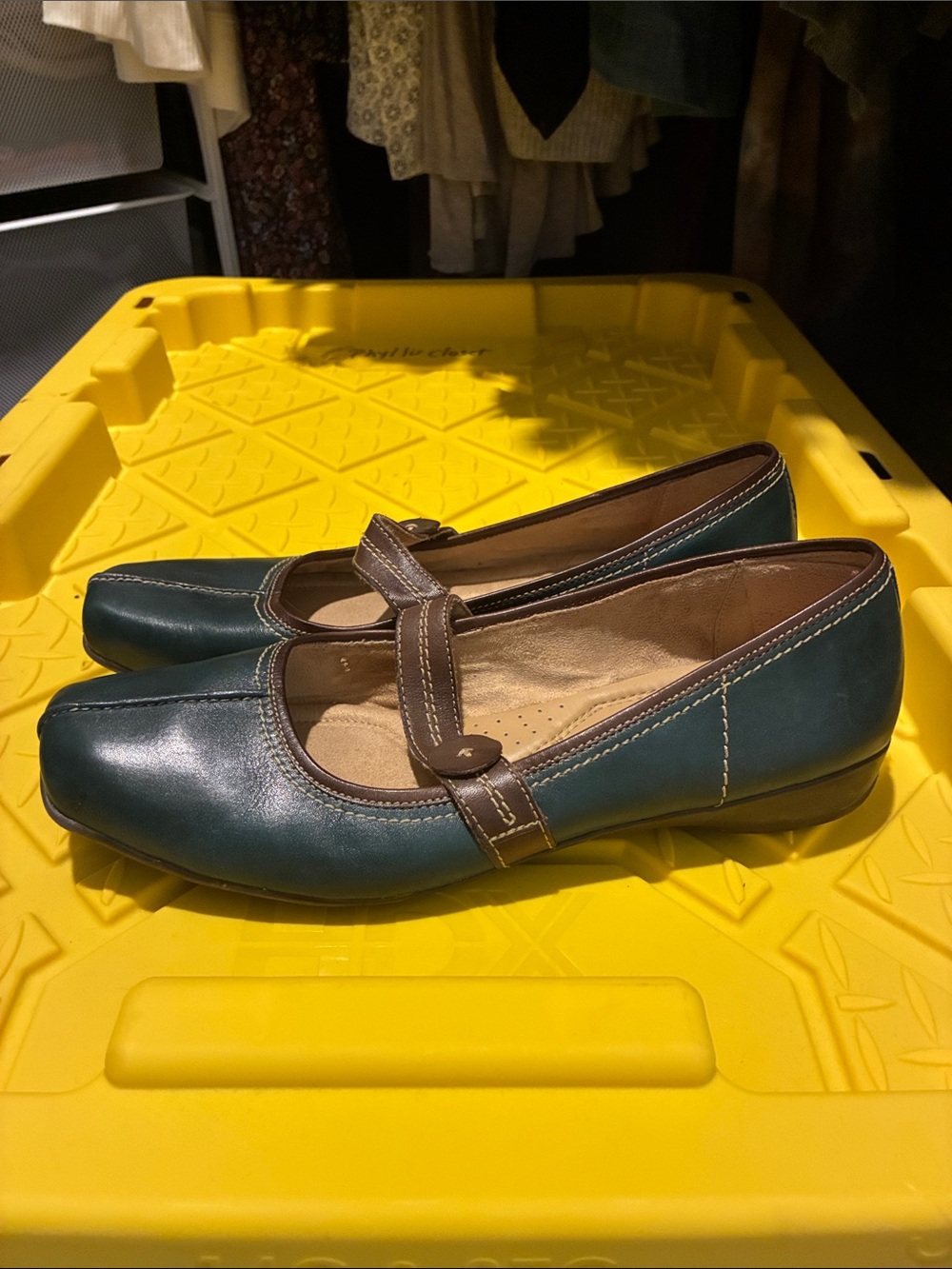 Naturalizer Teal Mary Jane Flats with Brown Trim